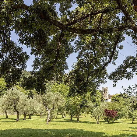 San Michele